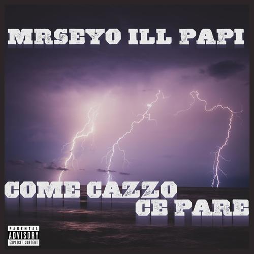 Come Cazzo Ce Pare (Explicit)