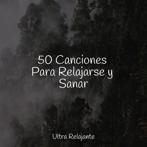 50 Canciones Para Relajarse y Sanar