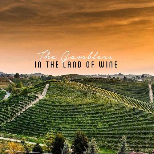 In the Land of Wine