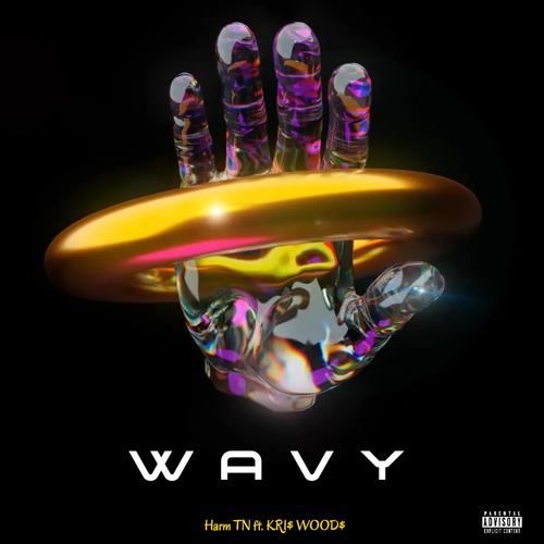 WAVY (feat. KRI$ WOOD$) [Explicit]