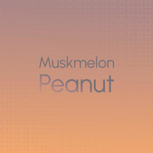 Muskmelon Peanut