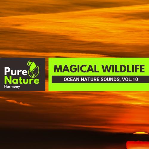 Magical Wildlife - Ocean Nature Sounds, Vol.10