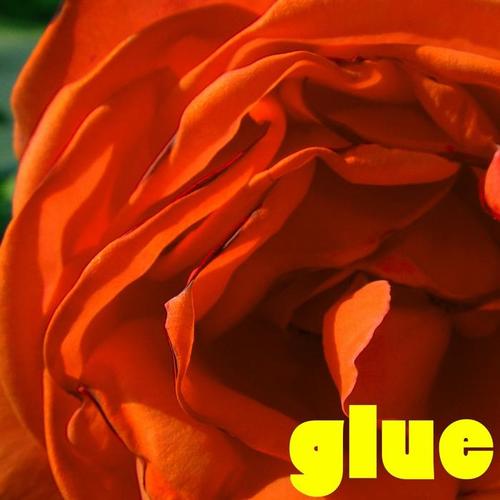 Glue