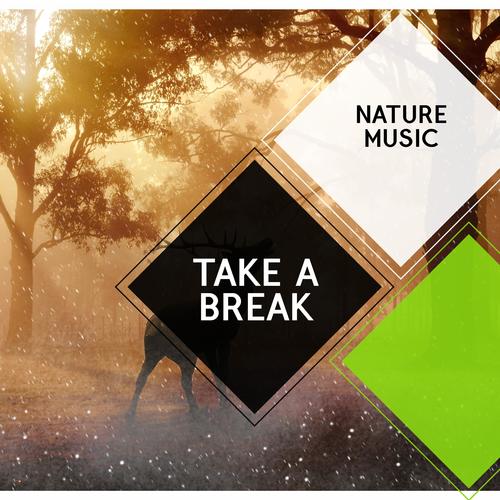 Take a Break - Nature Music