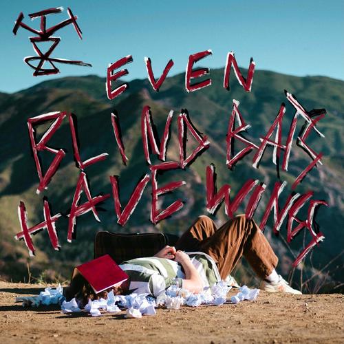 even blind bats have wings (Explicit)