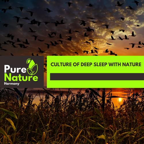 Culture of Deep Sleep With Nature