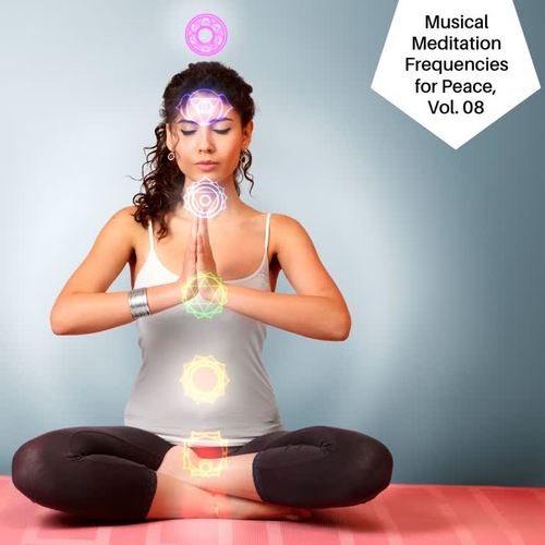 Musical Meditation Frequencies For Peace, Vol. 08