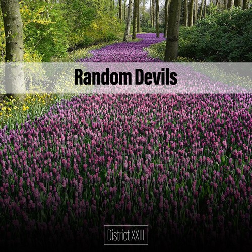 Random Devils District XXIII