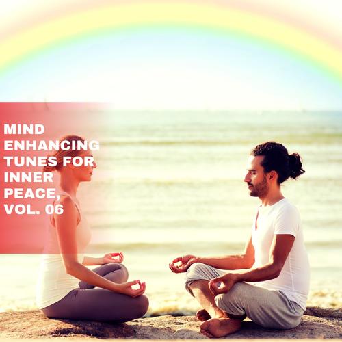 Mind Enhancing Tunes for Inner Peace, Vol. 06