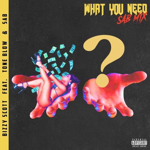 WHAT YOU NEED (SAB MIX) [Explicit]