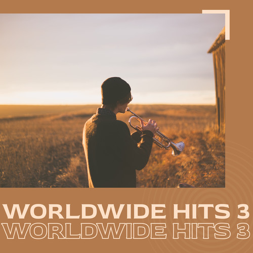 Worldwide hits 3 (Explicit)