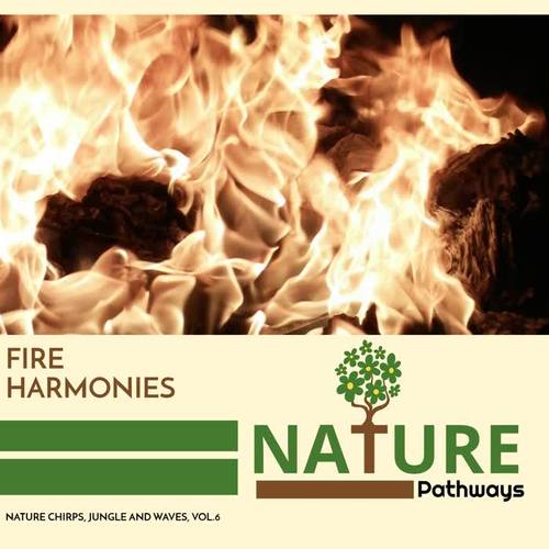 Fire Harmonies - Nature Chirps, Jungle and Waves, Vol.6