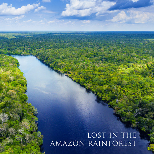 Lost in the Amazon Rainforest: Nature ASMR with Insects Sounds