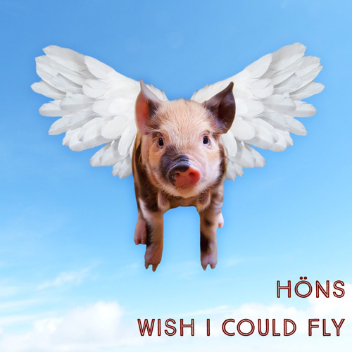 Wish I Could Fly