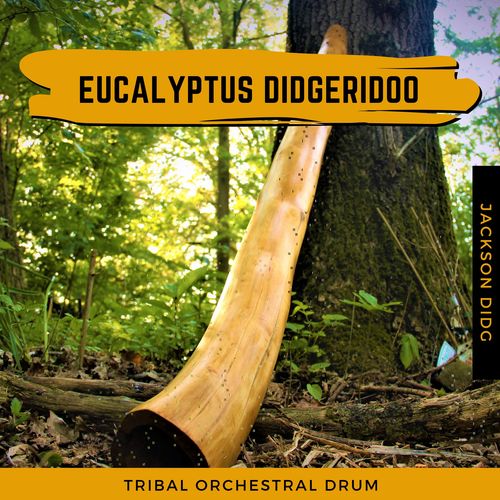 Eucalyptus Didgeridoo - Tribal Orchestral Drum