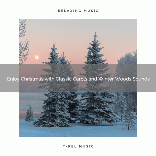 Enjoy Christmas with Classic Carols and Winter Woods Sounds