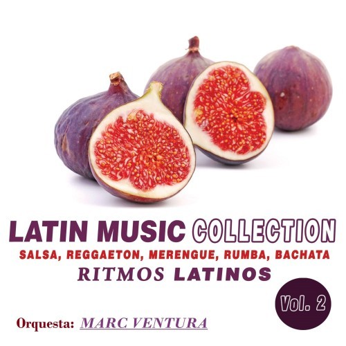 Latin Music Collection: Ritmos Latinos, Vol. 2 (Salsa, Reggaeton, Merengue, Rumba, Cumbia)