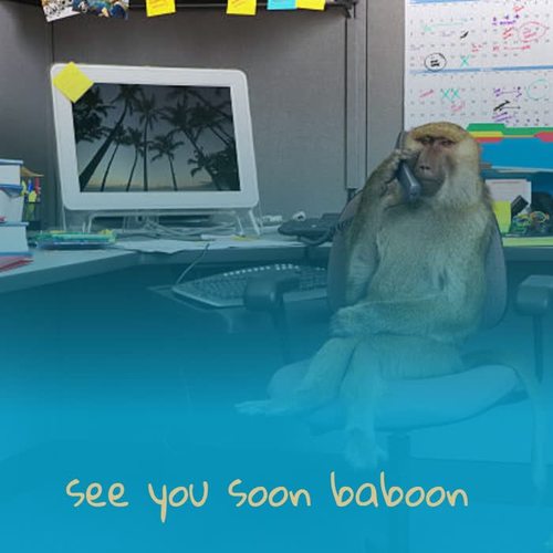 See You Soon Baboon