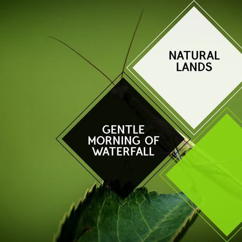 Gentle Morning of Waterfall - Natural Lands