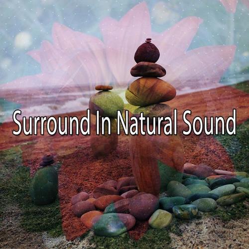 Surround In Natural Sound