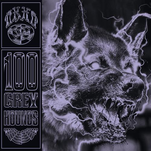 100 Grey Hounds