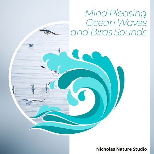 Mind Pleasing Ocean Waves and Birds Sounds