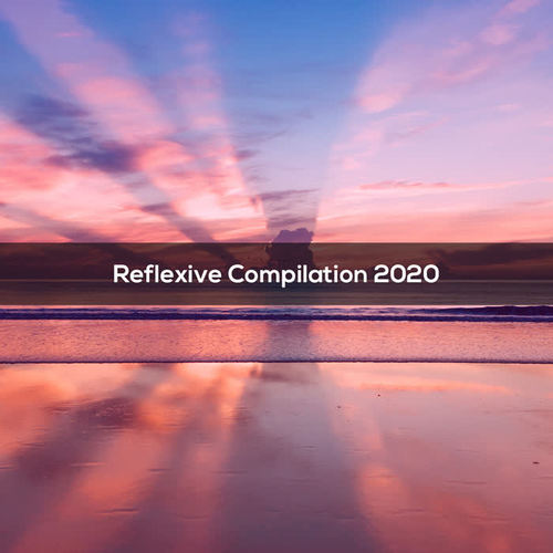 REFLEXIVE COMPILATION 2020