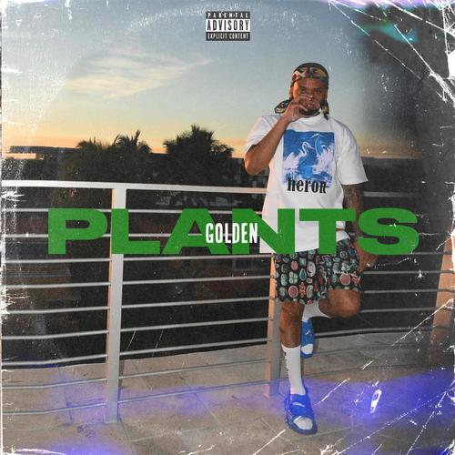 Plants (Explicit)