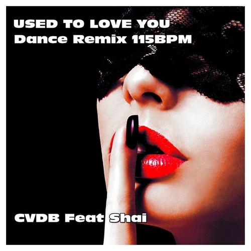 Used to Love You (Dance Remix 115BPM)