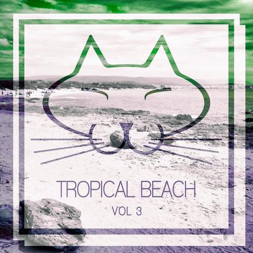 Tropical Beach, Vol. 3