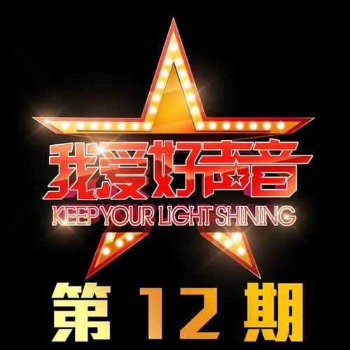 我爱好声音 第12期