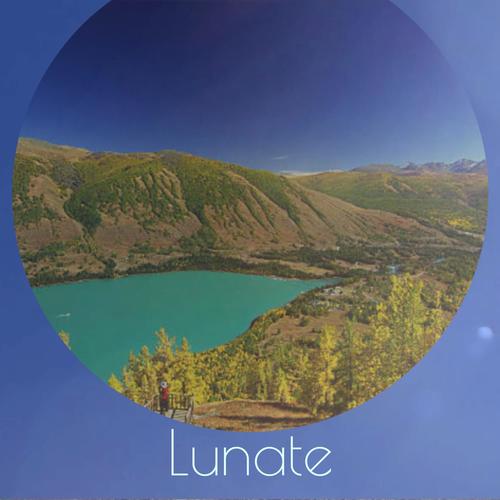 Lunate