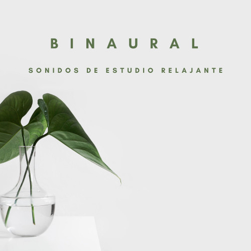 Binaural: Sonidos De Estudio Relajante