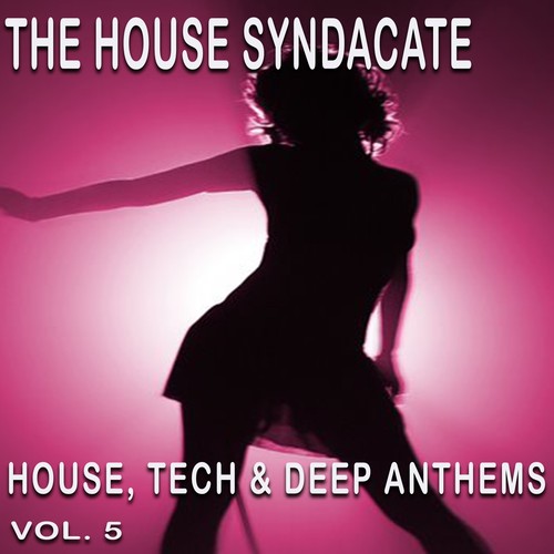 The House Syndacate, Vol. 5