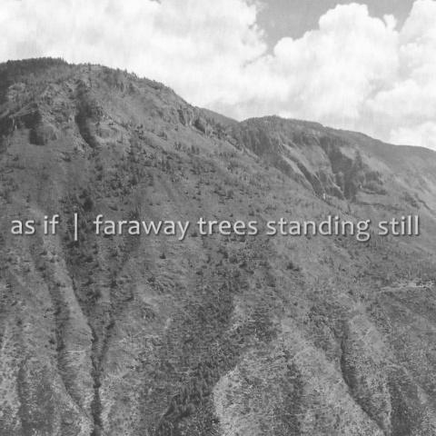 Faraway Trees Standing Still