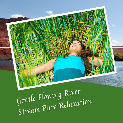 Gentle Flowing River Stream Pure Relaxation