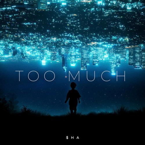 Too Much (Explicit)