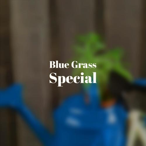 Blue Grass Special