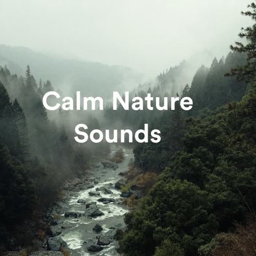 Calm Nature Sounds