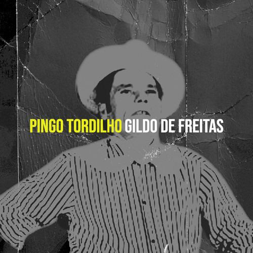 Pingo Tordilho