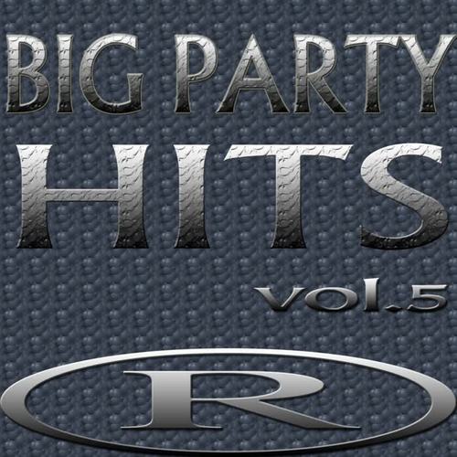 Big Party Hits, Vol. 5