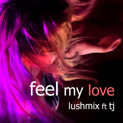 Feel My Love