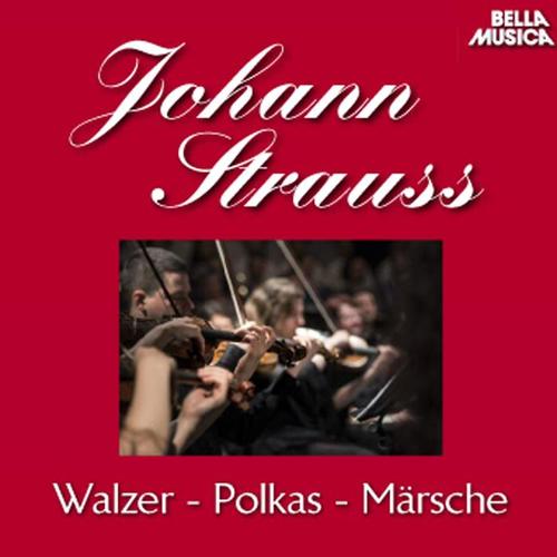 Stauss Sohn: Walzer - Polkas - Märsche, Vol. 2