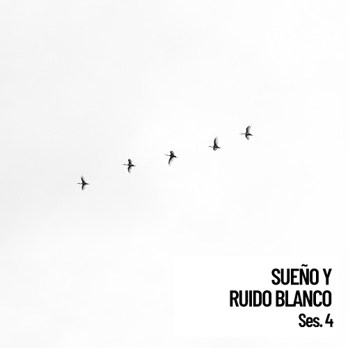 Sueno y Ruido Blanco Sesion 4