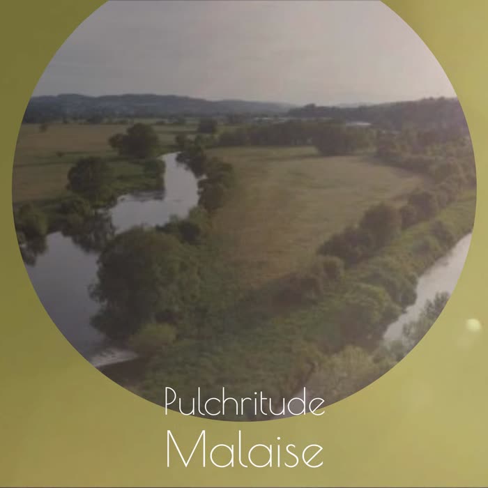 Pulchritude Malaise