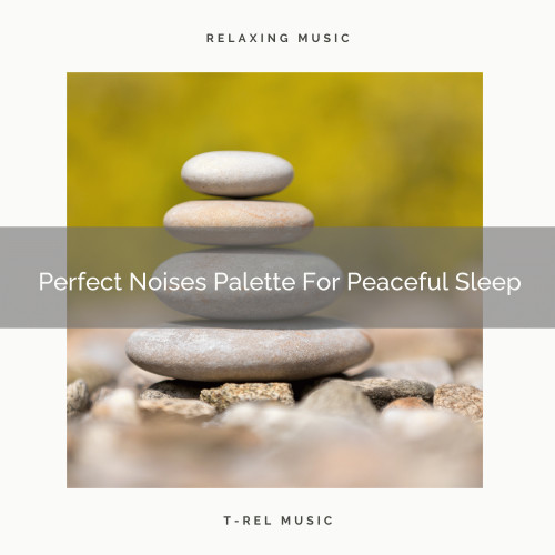 Perfect Noises Palette For Peaceful Sleep