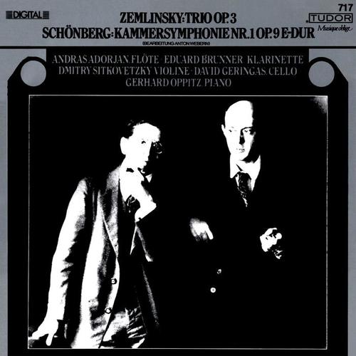 ZEMLINSKY, A.: Trio for Clarinet, Cello and Piano / SCHOENBERG, A.: Chamber Symphony No. 1 (arr. A. Webern) [Adorján, Brunner, Sitkovetsky, Geringas]