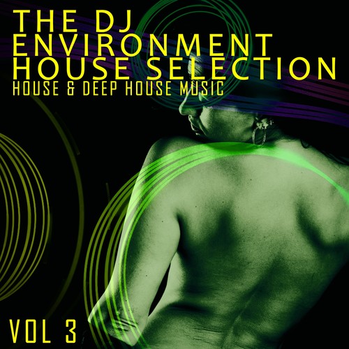 The DJ Environment: House Selection, Vol. 3