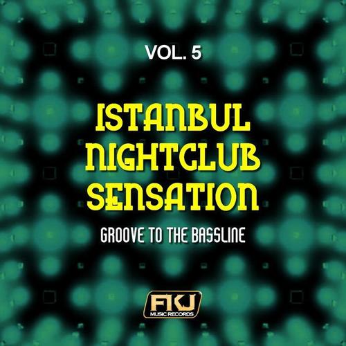 Istanbul Nightclub Sensation, Vol. 5 (Groove to the Bassline)