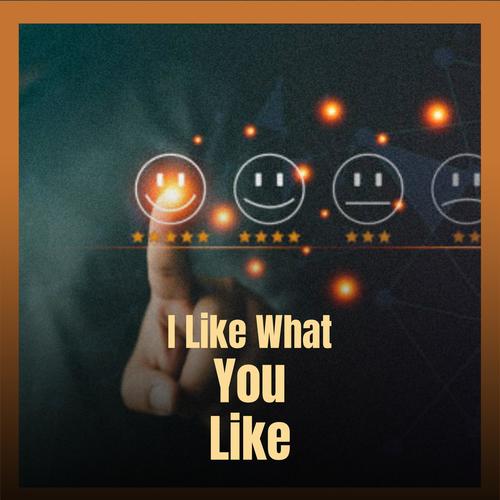 I Like What You Like